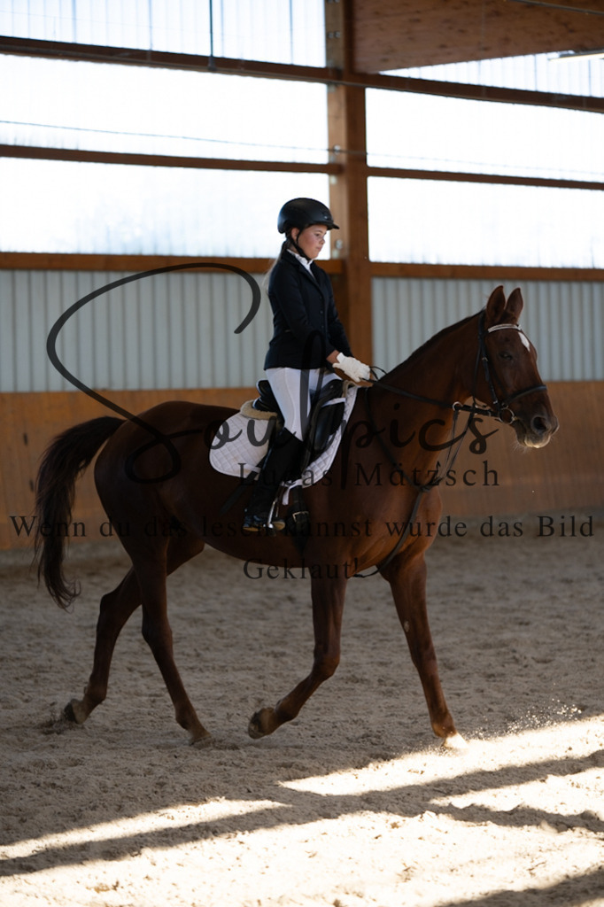 A7V02050 | Turnier/Reitfotograf