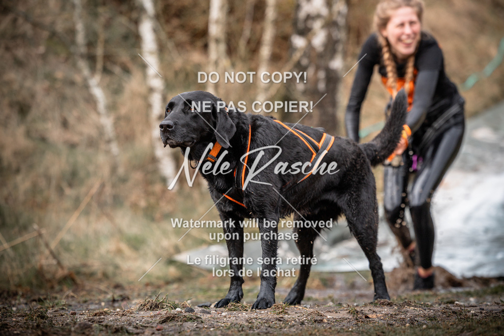 nelerasche_1330-1400_104 | nelerasche