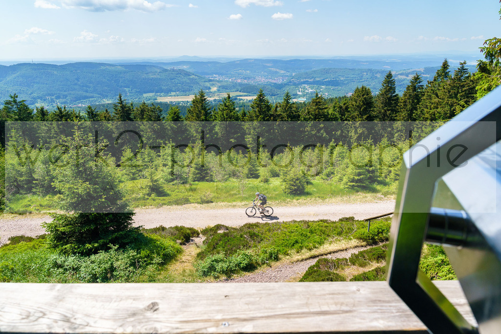 Rennsteig-Staffellauf 2023 | Rennsteig-Staffellauf - Hörschel bis Blankenstein - 17. Juni 2023