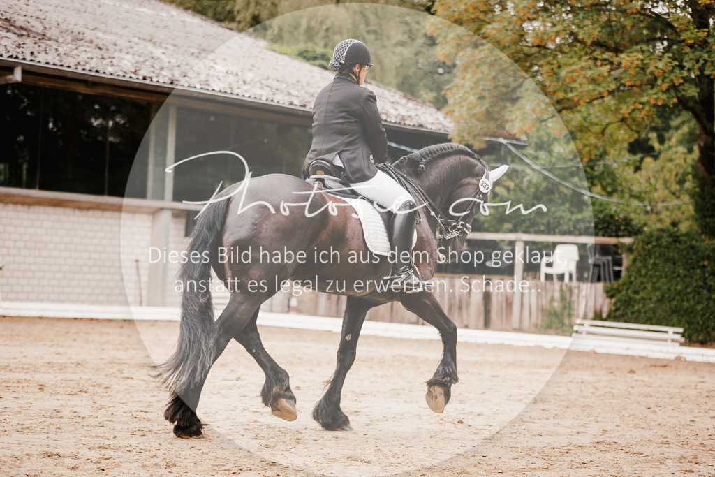 3I6A7746 | Stimmungsvolle Portraits und Reitsportfotografie im Ruhrgebiet und im Münsterland.

Pferdefotografie, Hundefotografie, Tierfotografie, Reportagen, Portraits von Tier und Mensch, Turnierfotografie in Bochum, Recklinghausen, Marl, Haltern am See, Dülmen.. - Realisiert mit Pictrs.com