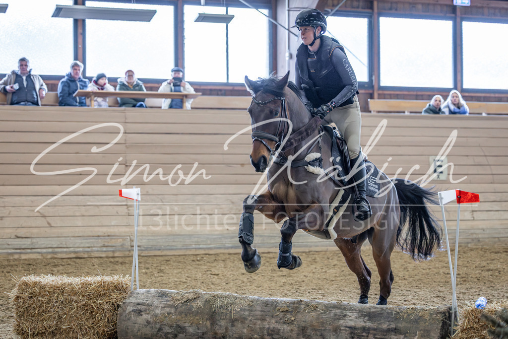 20260221-_3LI0410 | Tierfotografie Pferde, Hunde, Katzen, Haustiere.
Turnierfotografie Reitturniere, Reiten, Springreiten, Dressur in Hanau, dem Main-Kinzig-Kreis und dem Rhein-Main- Gebiet um Frankfurt