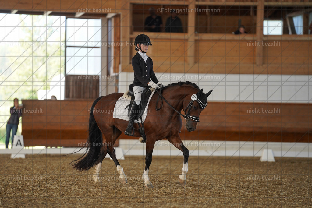 20240824-FAH07149 | Thierhaupten 2024, Bayerisches Landesponyturnier, Turnierbilder, Ponybilder, Turnierfotografen Bayern, Fotoagentur Herrmann