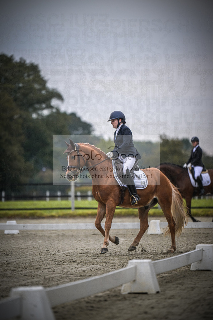 DOS_0394 | Entdecke hochwertige Reitturnierfotos von Foto Oger. Professionell, emotional und authentisch – jetzt Lieblingsmomente im Shop bestellen.Deutschlandweite Turnierfotografie. - Realisiert mit Pictrs.com