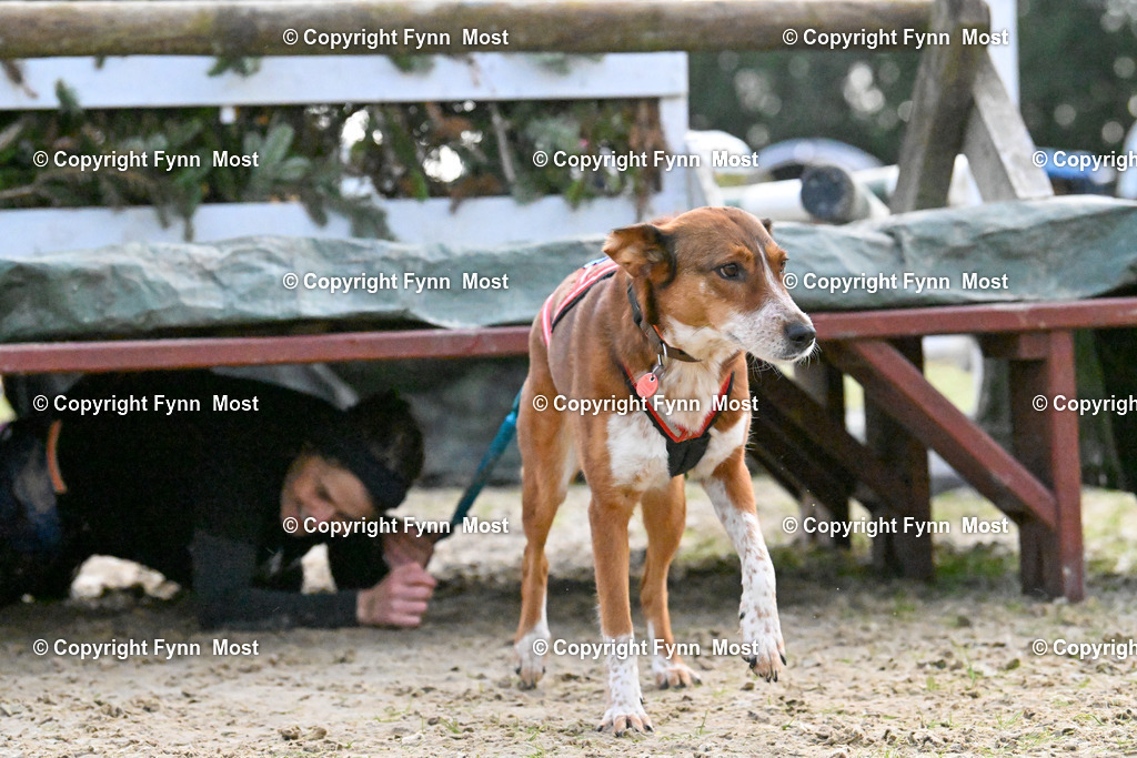 DSC_6095 | Hallo und herzlich Willkommen auf meiner Shop-Seite Fynn Most.

Ich wünsche Dir viel Spaß beim stöbern durch die Bilder, wenn Du Fragen hast oder Bilder vermisst, kannst du mir gerne eine Nachricht schreiben. - Realisiert mit Pictrs.com