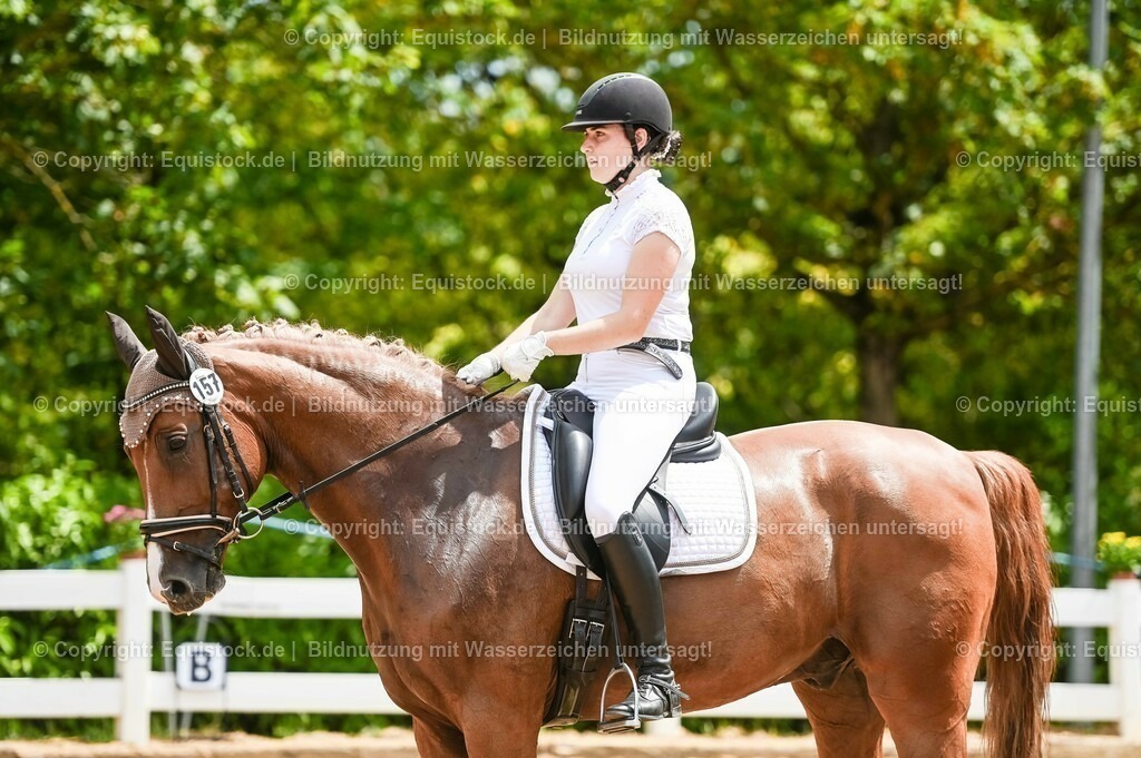 20230715_05_Dressurprüfung Kl.A++_0001 | equistock