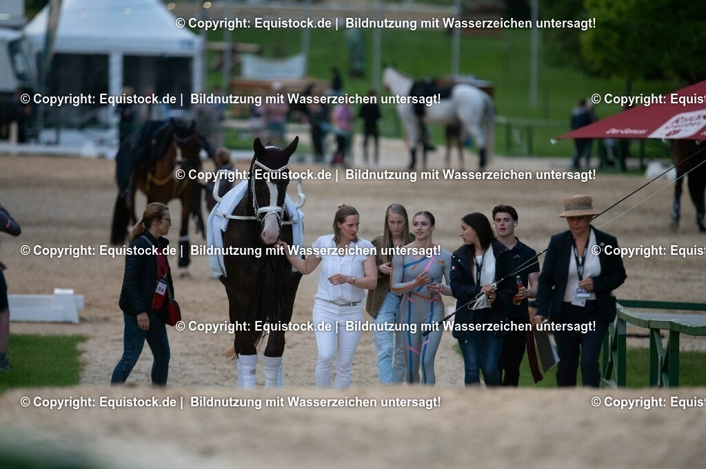 20230527_Voltigieren_NASPA_Flutlicht_0012 | equistock