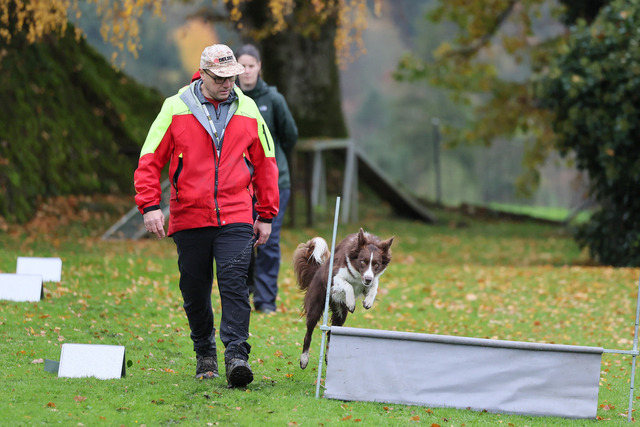 2025_Rally_Obedience_SM-76 | Ich fotografiere Hundeausstellungen, Sportanlässe, Zuchtstätten, Hundezucht, Hundeportrait, Lagotto - Realisiert mit Pictrs.com
