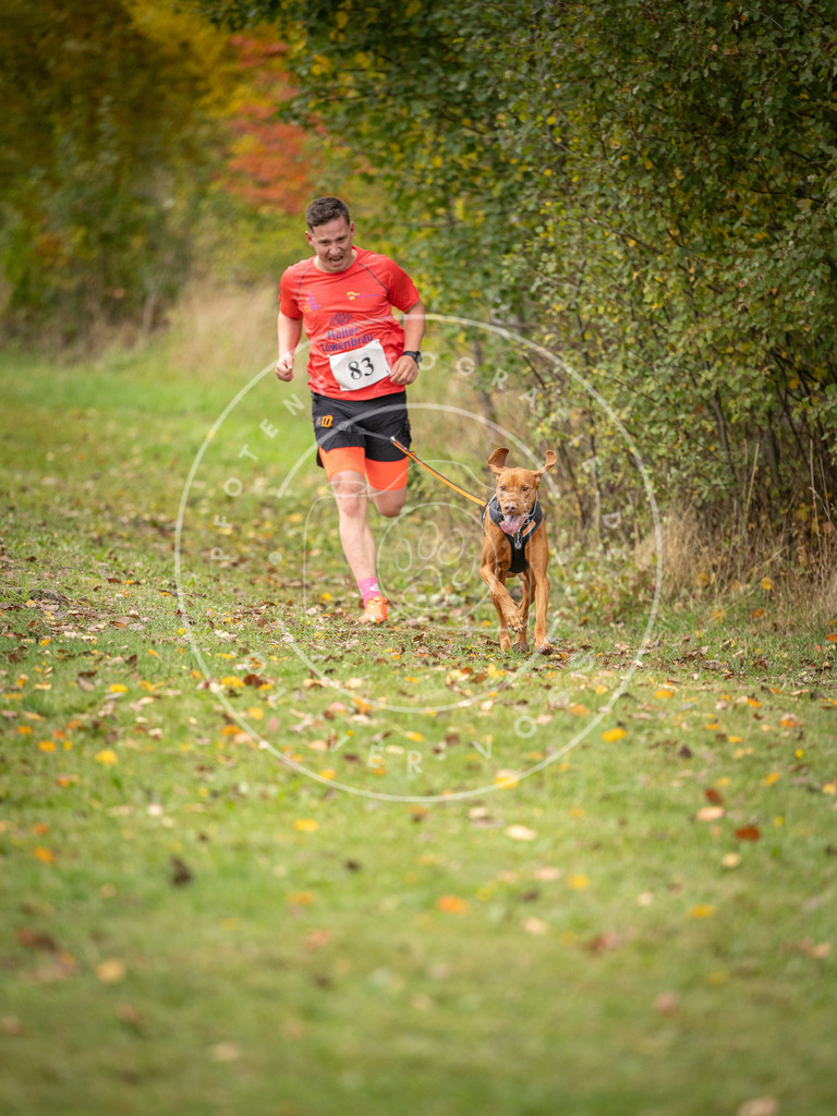 Pfotenfotografie_DV3A3084 | Hundefotografie, Tierfotograf, Pfotenfotografie, Fotoshooting Hund, Hunde Portrait, Hundesport, Hundeportraits, Heideshooting, Hunde, Sportfotograf, Hundefotograf, Turnierhundsport, THS,  - Realisiert mit Pictrs.com