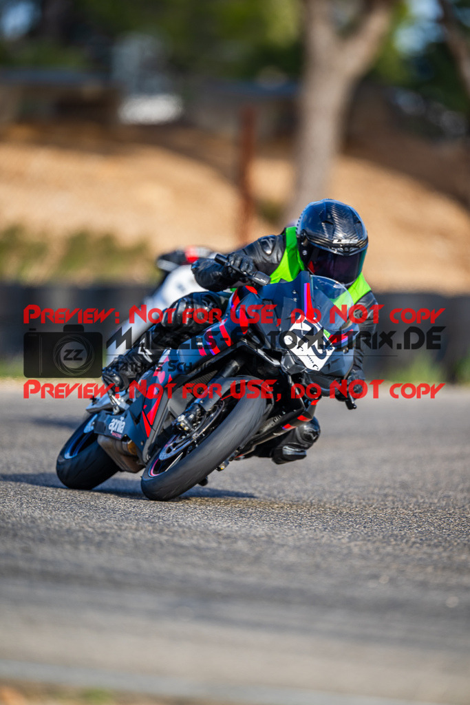 MaZZes_Fotomatrix_20260318_6007705_9384 | ROOKIE