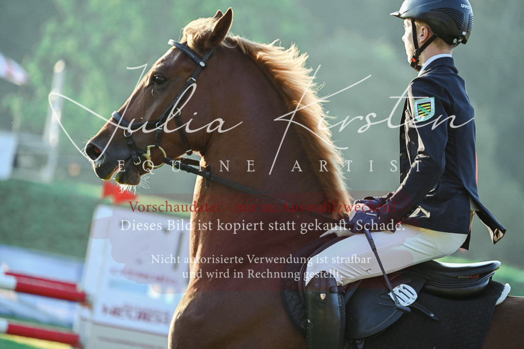 DSC_3738 | Pferde- und Turnierfotografie in Westsachsen. Pferdeportraits, Auftragszeichnungen und intuitive Kunst.