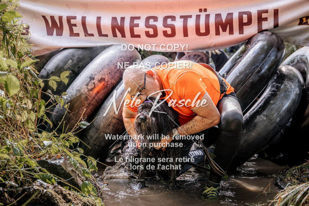 nelerasche_Hunsrück2026_Sa1400-1500_250 | nelerasche
