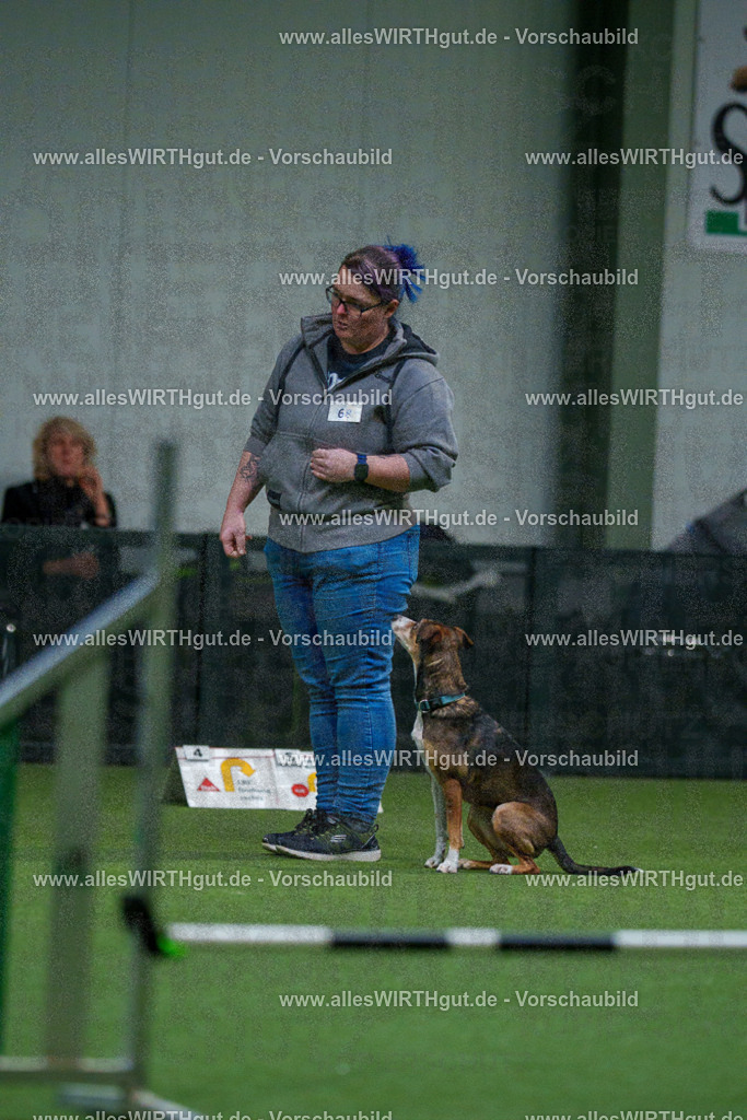 7R503797 | Professionelle Tierfotografie in Mönchengladbach von Daniel Wirth (allesWIRTHgut). Liebevolle & natürliche Bilder von Hunden & Katzen für unvergessliche Erinnerungen.
