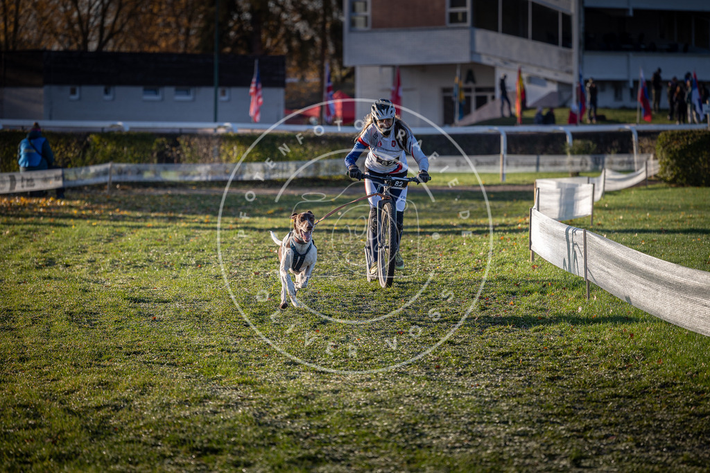 CaniXpix_0L8A3408 | Hundefotografie, Tierfotograf, Pfotenfotografie, Fotoshooting Hund, Hunde Portrait, Hundesport, Hundeportraits, Heideshooting, Hunde, Sportfotograf, Hundefotograf, Turnierhundsport, THS,  - Realisiert mit Pictrs.com