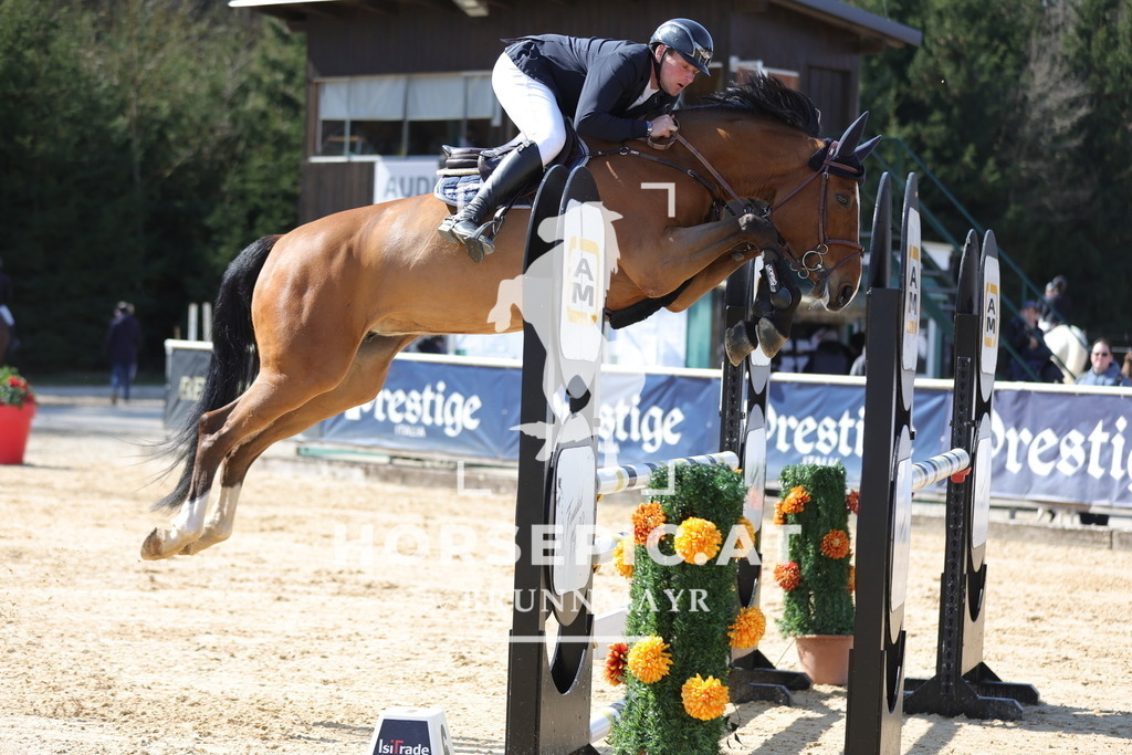 0P6A0884 | Willkommen bei Brunnmayr - Design & Fotografie – Ihrem Spezialisten für Reitturniere und Pferdeveranstaltungen in Oberösterreich, Salzburg und Bayern! Seit über 17 Jahren sind wir leidenschaftlich dabei.