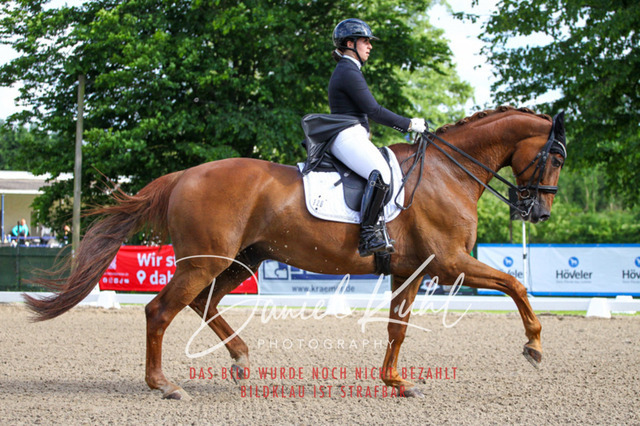 DKP41597 | Deine Turnierfotos vom Reitturnier online kaufen: Dressur, Springen & Siegerehrung. Professionelle Pferdefotografie aus dem Rheinland – als Download & Print.Alternative: Turnierfotograf für den Pferdesport: Finde deine Fotos von Dressur- und Springturnier