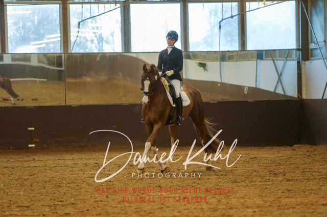 IMG_7155 | Turniersportfotografie; Pferdefotografie; Dressurfotografie