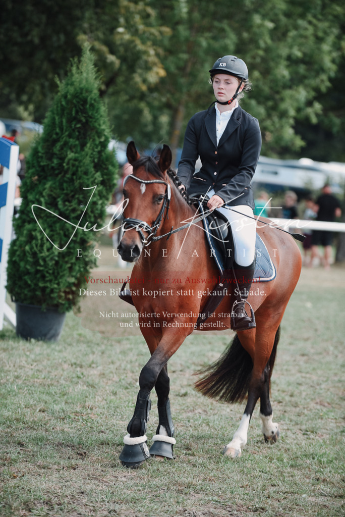DSC_5816 | Pferde- und Turnierfotografie in Westsachsen. Pferdeportraits, Auftragszeichnungen und intuitive Kunst.