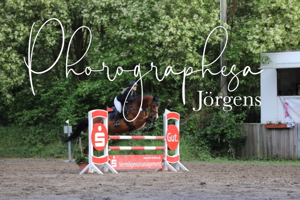 IMG_9123 | photographesa-joergens - Realisiert mit Pictrs.com