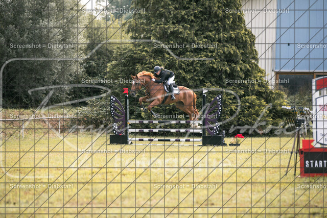 _W6A8344 | ronjaprokoschfotografie - Realisiert mit Pictrs.com