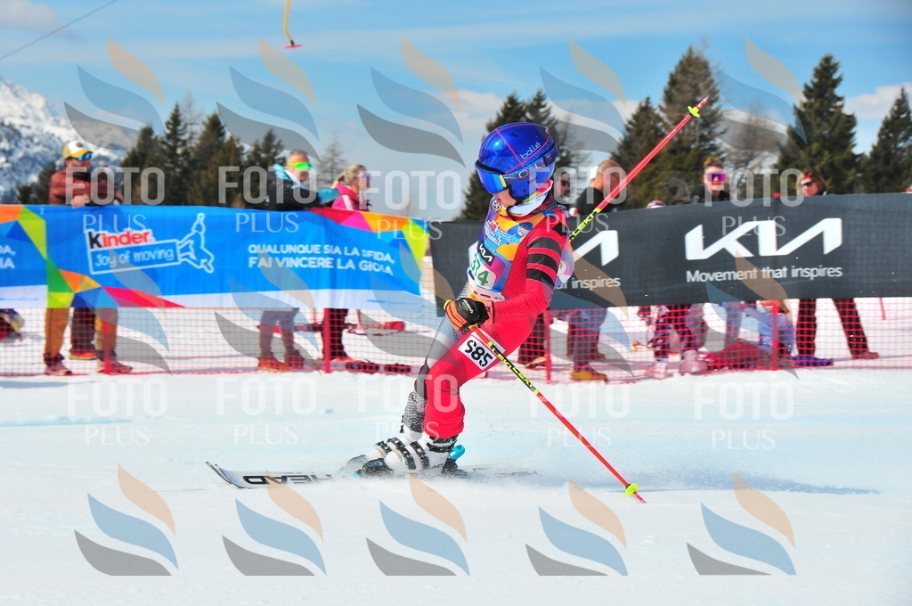 DSC_1561 | holidayphoto