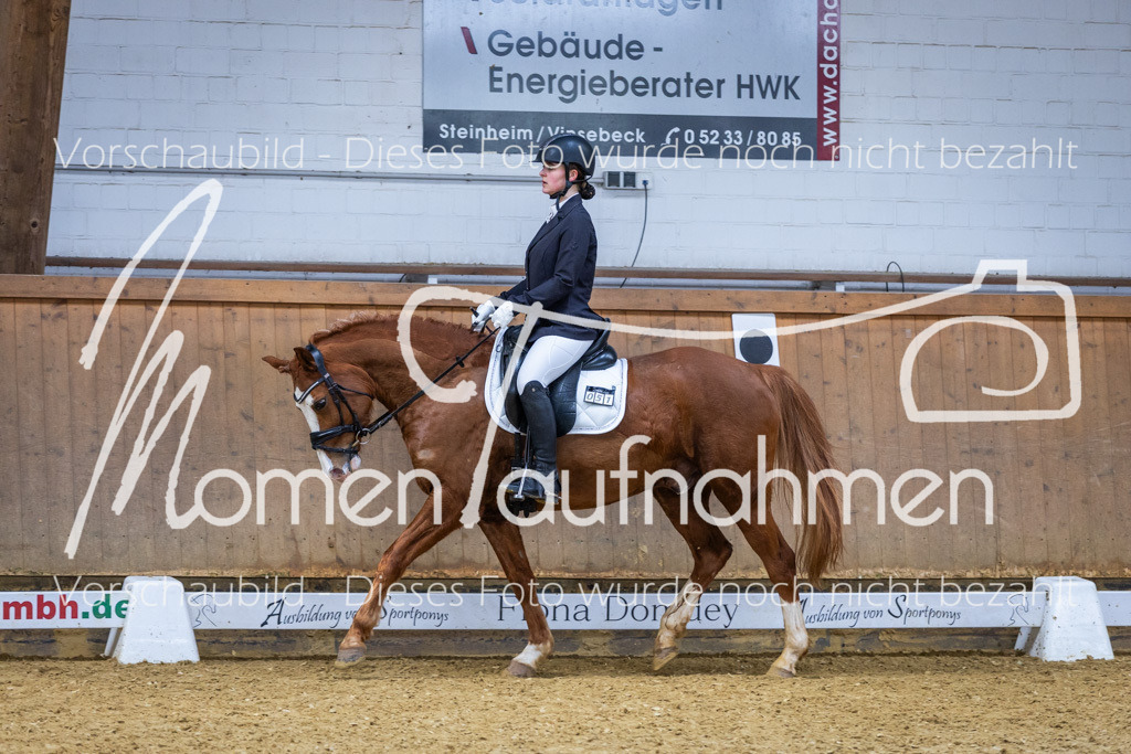 _M2A1722 | MomenTaufnahmen Pferdesportfotos