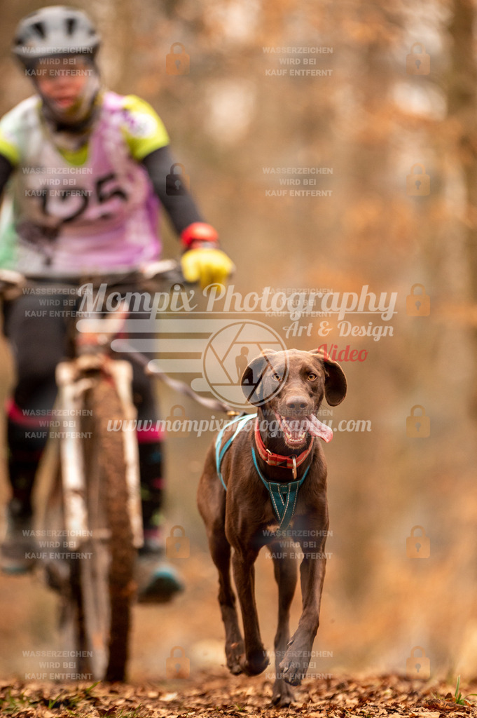 AKM_ST_2023_SAM_Bike-156 | PayLife