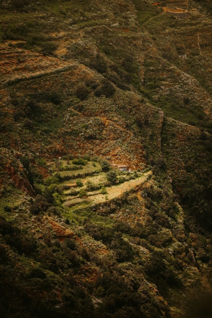 Teneriffa_by Leevke Draack_31 | Du suchst natürliche und atmosphärische Prints oder Leinwanddrucke? In diesem Shop gibt es alles, nur kein Mainstream. - Realisiert mit Pictrs.com