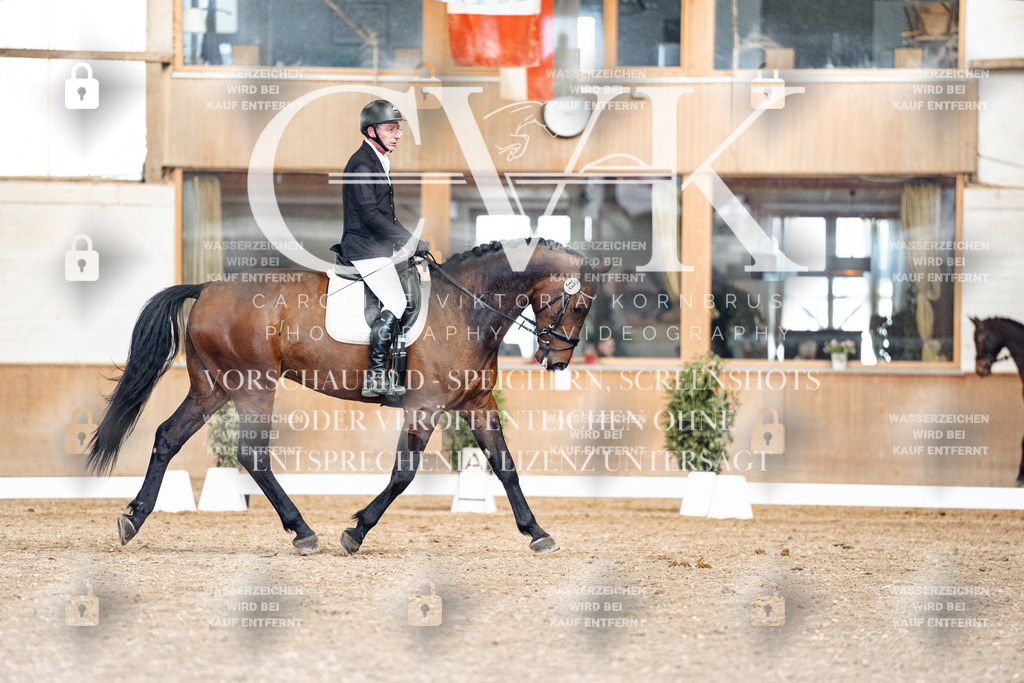 CK901310 | Turnierfotografie Pferdefotografie Trier Rheinland-Pfalz Pferdesport Reitsport Tierfotografie Sportfotografie Pferdevideo Pferdevideografie Equestrianvideography equestrianphotography  - Realisiert mit Pictrs.com