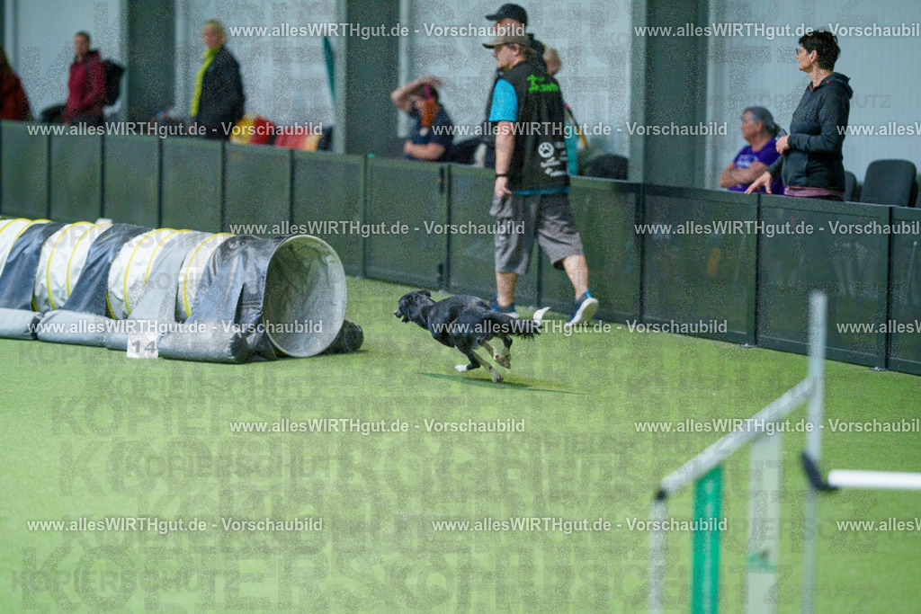 @allesWIRTHgut_Tierfotografie - www.allesWIRTHgut.de - 2604250951-7R509174 | Professionelle Tierfotografie in Mönchengladbach von Daniel Wirth (allesWIRTHgut). Liebevolle & natürliche Bilder von Hunden & Katzen für unvergessliche Erinnerungen.