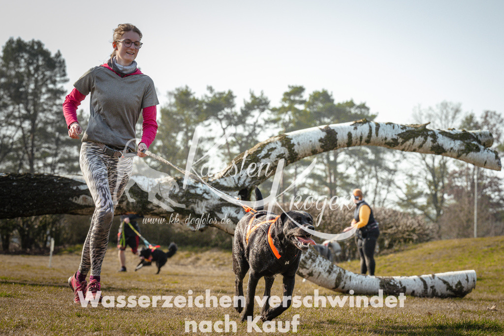 1000_ZZ90643 | kk-dogfotos