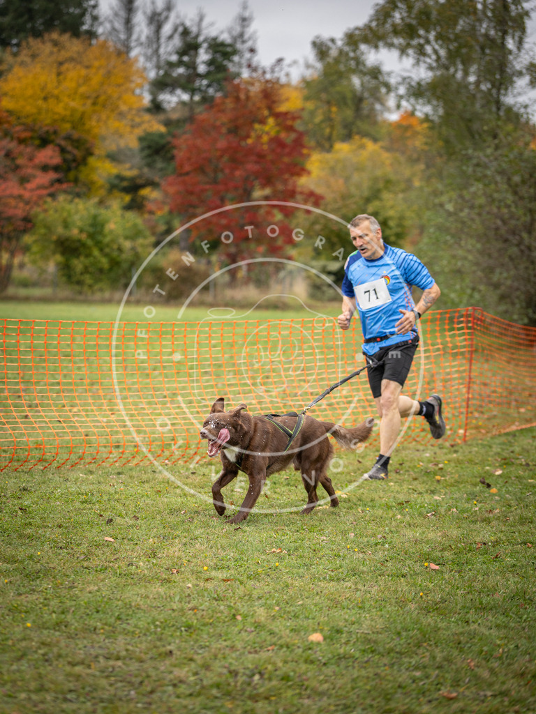 Pfotenfotografie_DV3A2861 | Hundefotografie, Tierfotograf, Pfotenfotografie, Fotoshooting Hund, Hunde Portrait, Hundesport, Hundeportraits, Heideshooting, Hunde, Sportfotograf, Hundefotograf, Turnierhundsport, THS,  - Realisiert mit Pictrs.com
