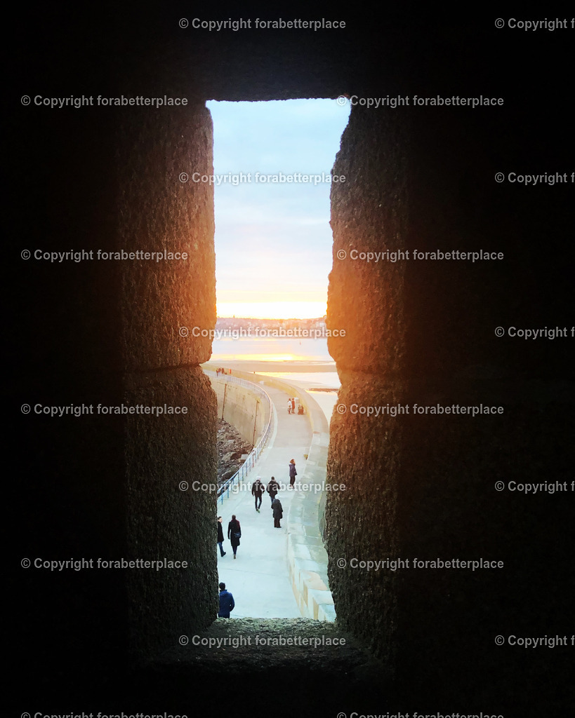 IMG_7385 | ForABetterPlace - Realisiert mit Pictrs.com