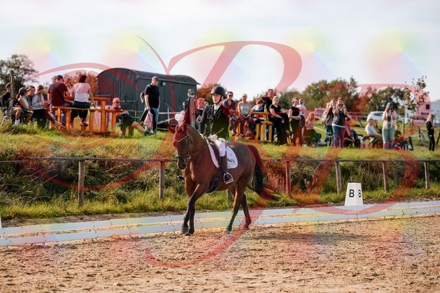 2026_10_03_Siefer-Hof_131049_Z63_74269682 | Professionelle Reitsport-, Turnier- und Eventfotografie von Robert Broda. Galerien mit ausgewählten und bearbeiteten Bildern direkt online ansehen und bestellen.