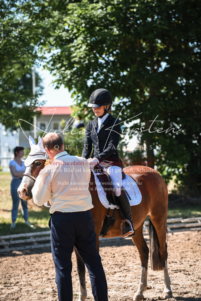 DSC_3641 | Pferde- und Turnierfotografie in Westsachsen. Pferdeportraits, Auftragszeichnungen und intuitive Kunst.