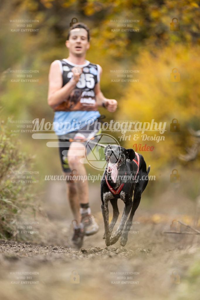 MompixPhotography_ICF_WC_2024_SA_Run_-9 | PayLife