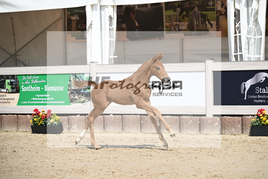 Va Bene x Savoy_HF_Groll_12250374 | hf-fotografie - Realisiert mit Pictrs.com