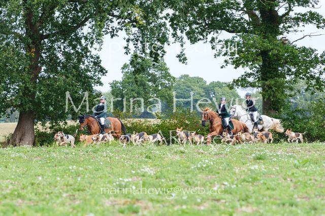 Jagd Perdoel 26 Sony-03604_MarinaHewig | Fotografie, FotoArt, PferdesportArt, Pferdesportfotografie, Landschaftsfotografie, Reisefotografie, Reise, Pferde - Realisiert mit Pictrs.com