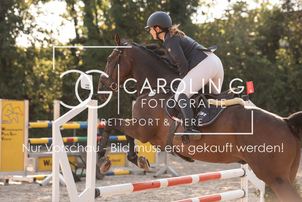 DSC_6505 | Turnierfotografin Carolin Gieschke, Turnierfotografie Carolin G Fotografie, Turnierfotos Kirchheim/Teck, Esslingen, Stuttgart, Bodenseekreis