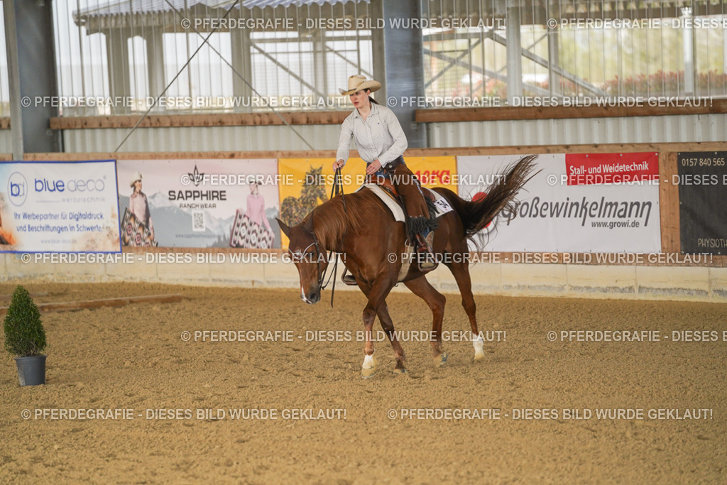 DSC01628 | Pferdegrafie