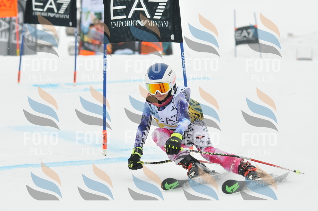 DSC_8341 | holidayphoto