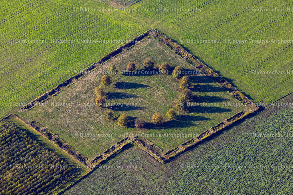 Luftbilder Olfen-5441 | Luftbildfotografie uLuftbilder Olfen Bäume im Kreis - Realisiert mit Pictrs.com