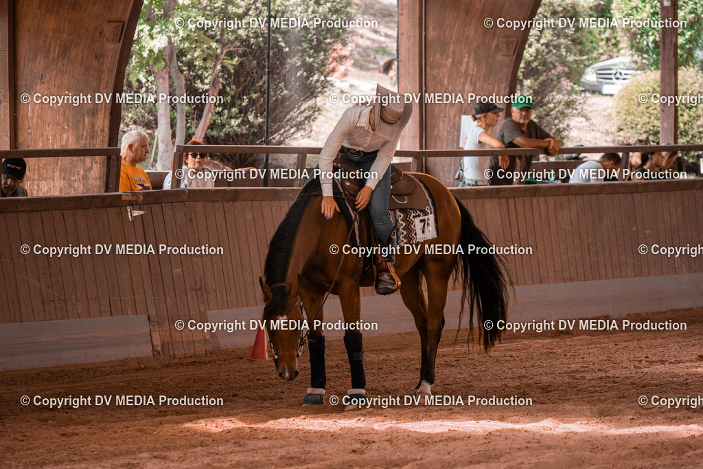 NE300720 | dv-media-shop - Realisiert mit Pictrs.com