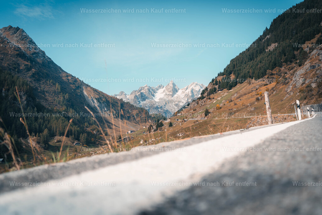 DSC01169 | FramedWorld - Realisiert mit Pictrs.com