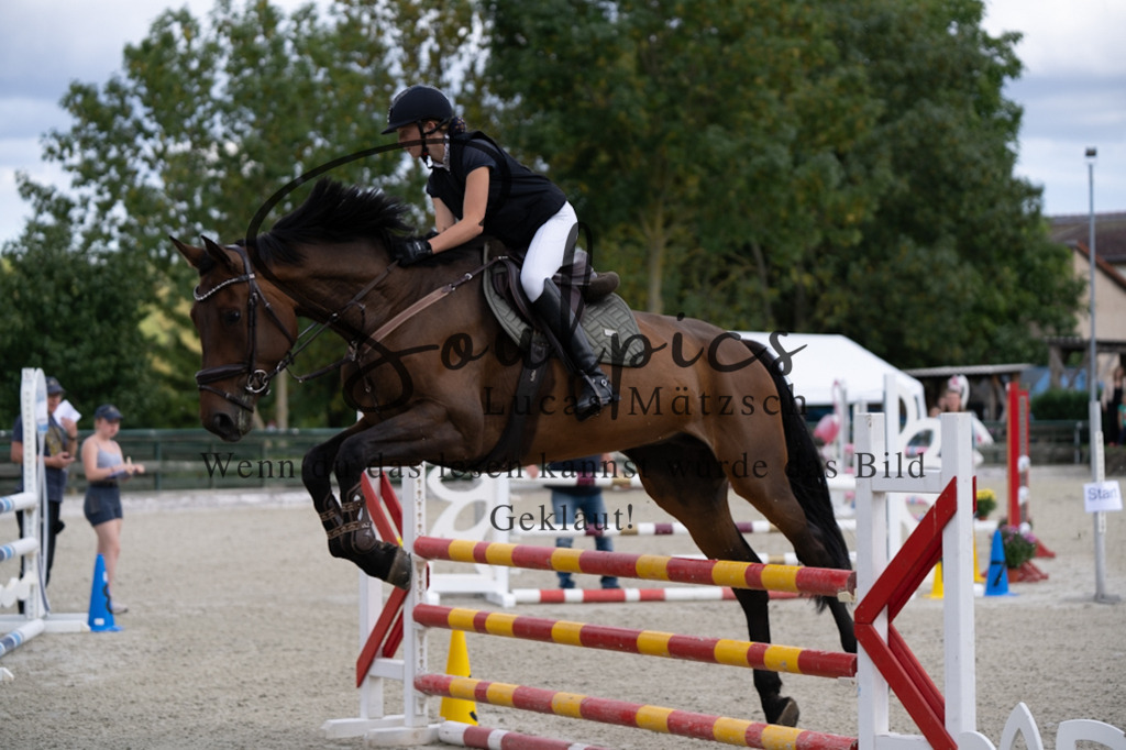 A7V07751 | Turnier/Reitfotograf