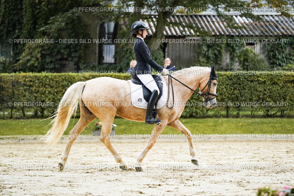 DSC06833 | Pferdegrafie