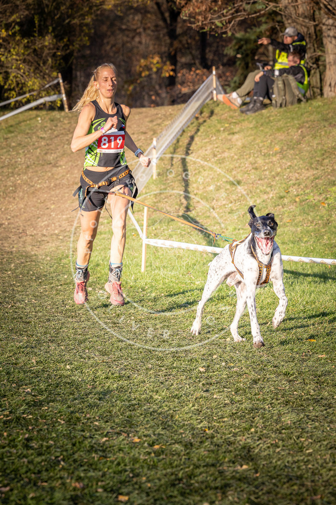 CaniXpix_0L8A0505 | Hundefotografie, Tierfotograf, Pfotenfotografie, Fotoshooting Hund, Hunde Portrait, Hundesport, Hundeportraits, Heideshooting, Hunde, Sportfotograf, Hundefotograf, Turnierhundsport, THS,  - Realisiert mit Pictrs.com