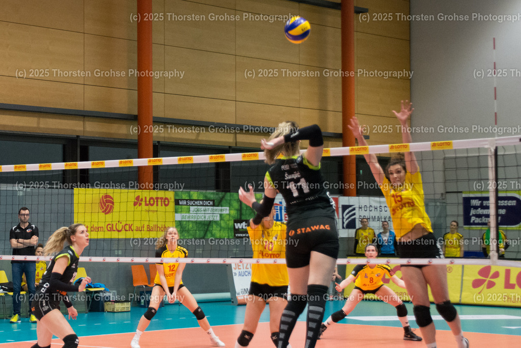 VBL VFB SUHL vs. LADIES IN BLACK AACHEN | Ladys in Black am Ball; VBL VFB SUHL vs. LADIES IN BLACK AACHEN, Volleyball-Bundesliga Frauen am 03.02.2018 in der Multihalle in Meiningen, (Deutschland) - Realisiert mit Pictrs.com