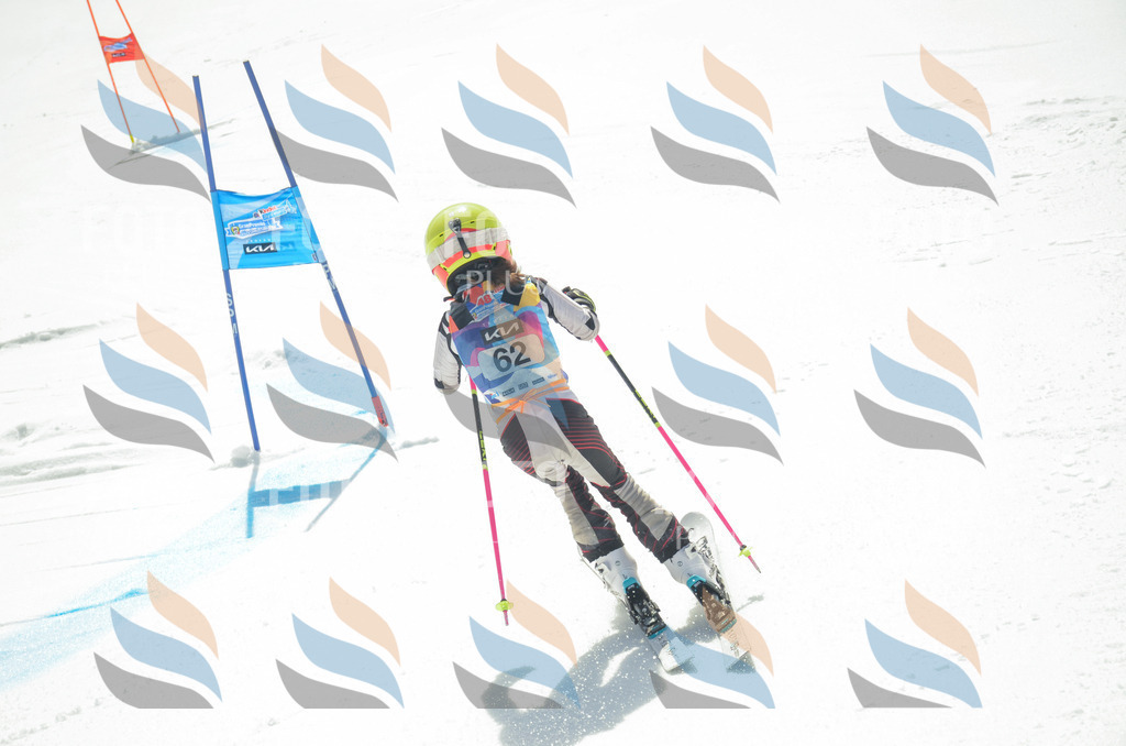 _ELE5342 | holidayphoto