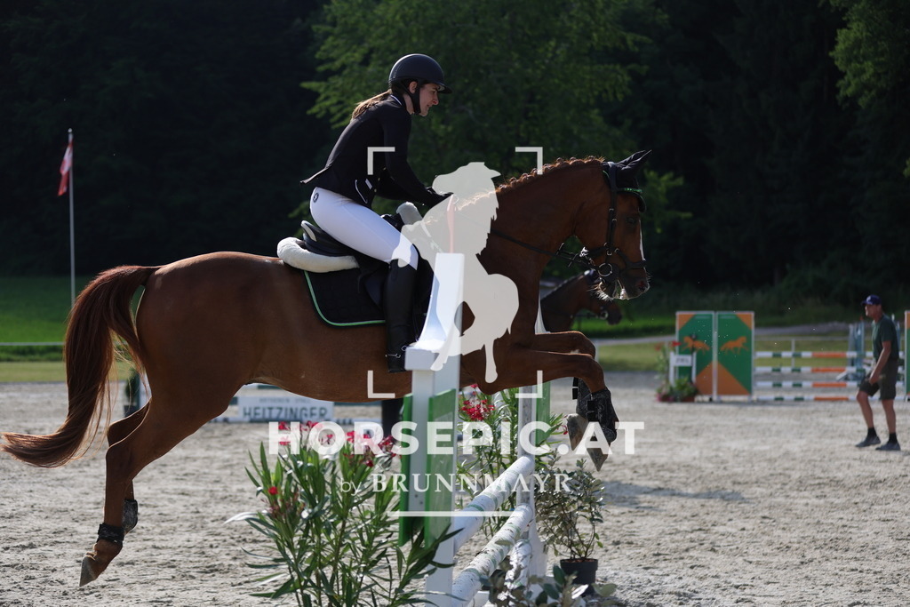 0P6A6402 | Willkommen bei Brunnmayr - Design & Fotografie – Ihrem Spezialisten für Reitturniere und Pferdeveranstaltungen in Oberösterreich, Salzburg und Bayern! Seit über 17 Jahren sind wir leidenschaftlich dabei.