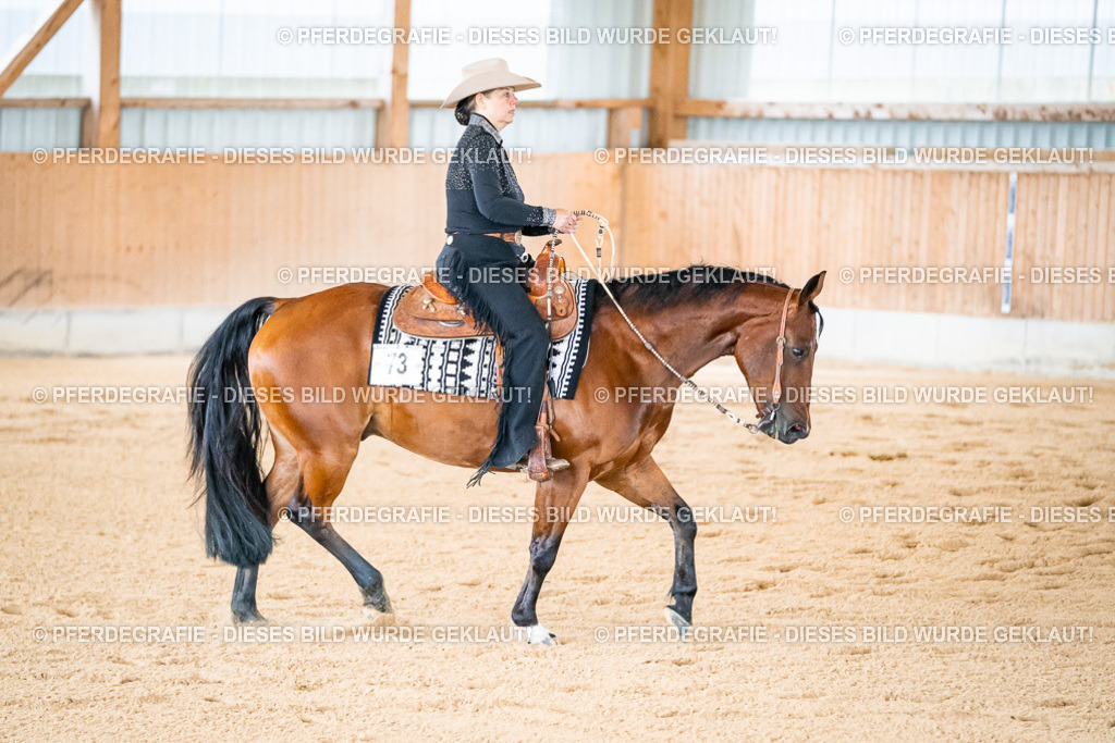 DSC01670 | Pferdegrafie